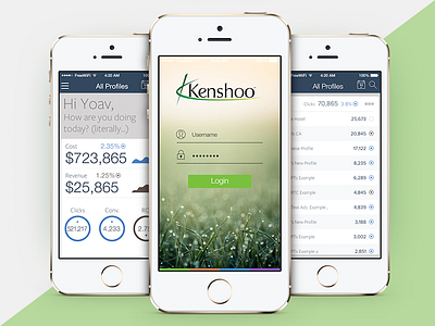 Kenshoo iOS app app appstore ios kenshoo ui ux