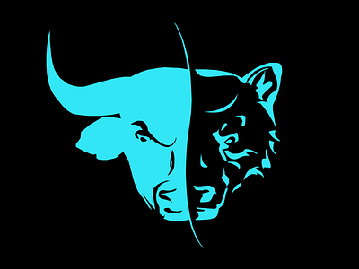 BULL_BEAR DESIGN