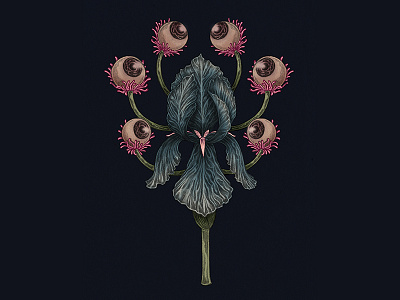 Iris illustration