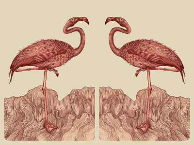 Flamingo design digitalpaiting illustration pencil art photoshop poster traditional art