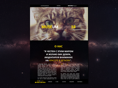 MUSEUM Studio 38 (Landing page) cat design kiev landing museum music page space studio ui web website