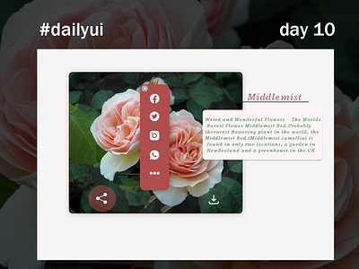 share page design #dailyui day 10 dailyui design ui