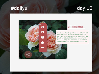share page design
#dailyui day 10