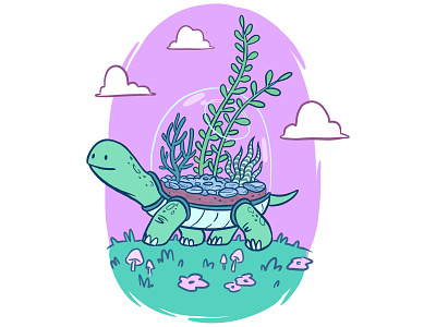 Terrarium Turtle