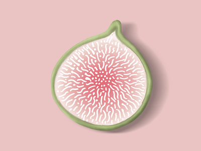 Fig fruit