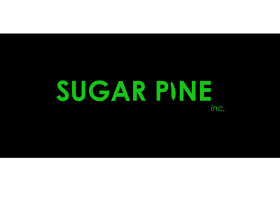 SUGAR PINE WORDMARK LOGO CONCEPT. wordmark logo newdesigner