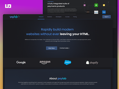 PsyLab  (web-design)