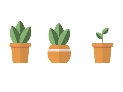 Potted Plants Flat Design- Adobe Illustrator