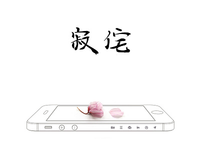 Personal Site apple clean flower iphone minimal new portfolio simple site wabi sabi web zen