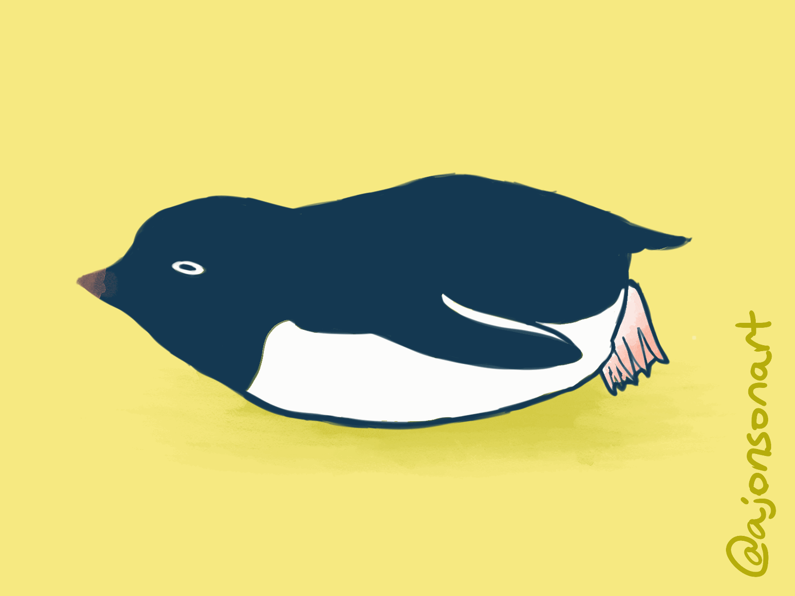 Adelie Penguin animation design gif illustration