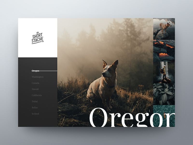 Shortstache2 travel video photo gallery photography shortstache web design ui ux