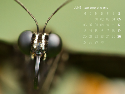 desktop calendar [june]