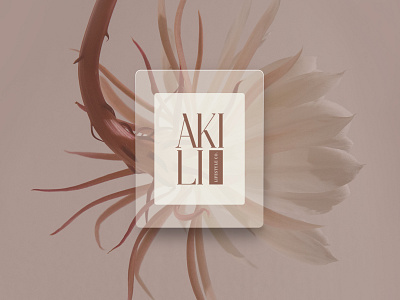 Akili Lifestyle Co. branding design graphic design social media typography