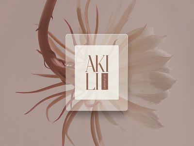 Akili Lifestyle Co. branding design graphic design social media typography