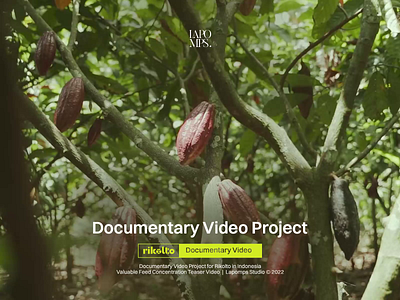 Rikolto (Valuable Feed Concentrate) cacao campaign cinematography concentrate documentary green rikolto video videography