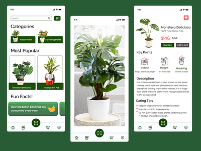 Plant Identifier App online plants shopping plant identifier plant identifier app plants plants app