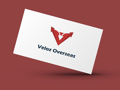 Veloz Overseas branding graphics logo stationary