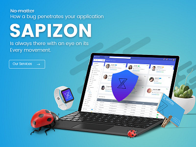 Sapizon Technologies LLC. branding graphics ui website design