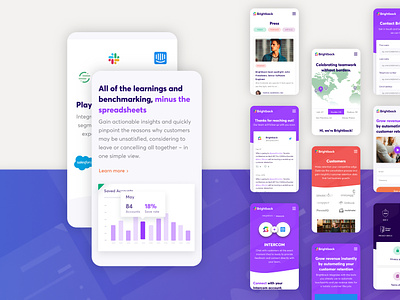 Brightback Website colorful diagrams marketing mobile purple service stats tags ui