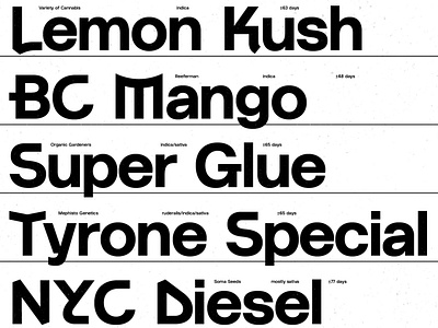 Residenz Grotesk font grotesk sans typedesign typeface typography