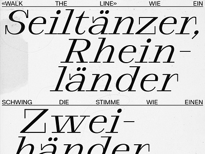 Samzara font italic serif typedesign typeface typography