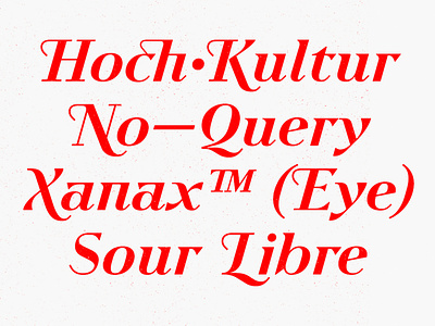 Zukunft didone font italic serif swashes typedesign typeface typography