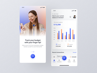Money Budget App app balance blue branding budget design learnui learnux mobile money moneybudget orange ui vector