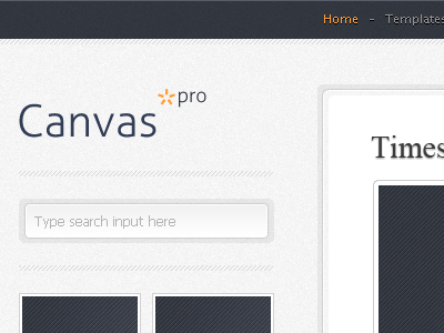 Canvas Pro