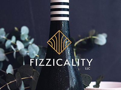 Fizzicality logo design logo design branding