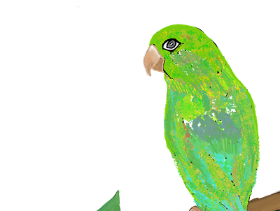 Parrot Nesting art branding design graphic design illustration illustrator logo minimal web website