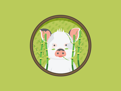 Kevin the mini pig illustration pig