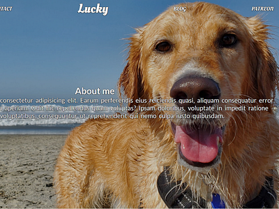 Lucky's webpage css3 design html css html5 illustration web