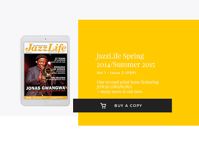 Jazzlife Email Header design e commerce emailer jazzlife magazine marketing