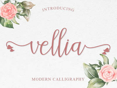 Vellia design font lovely font romantic font script font typography vector