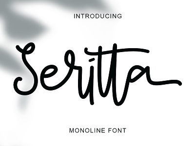 Seritta bouncy font bouncy lettering branding calligraphy font design font graphic design illustration lettering artist logo lovely font monoline typography