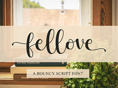 Fellove Font branding calligraphy font design font graphic design handwritting font lettering artist lovely font script font typography