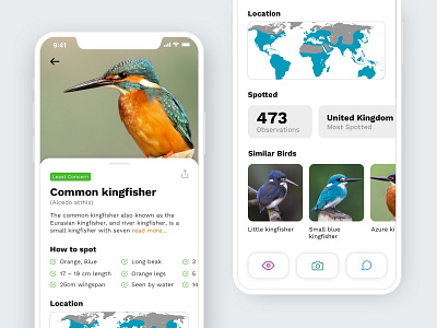 Bird Spotting App app birds interface iphone nature ui ux wildlife