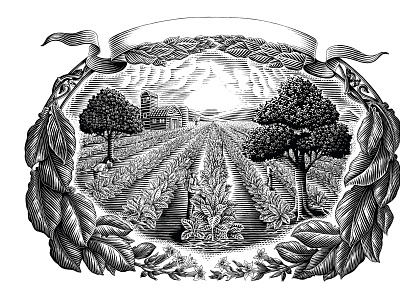 The land of tobacco agiculture branding design drawing engraved engraving field graphic design illustration ink landscape logo nicotine smoking tobacco vintage