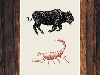 Bison & Scorpion animals bison cross htching hatching illustration scorpion