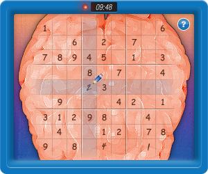 Sudoku Designs Themes Templates And Downloadable Graphic Elements On Dribbble