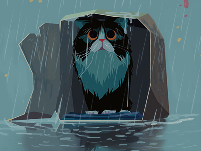 Cat in the rain