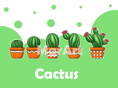 Cactus adobe ai art cactus cartoon character coreldraw cute design evolution flower green illustration ilustration nature photoshop plant vector