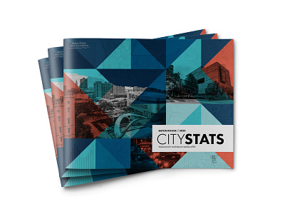 CityStats 2020 baton rouge data data visualization editorial design infographic infographics louisiana magazine map nonprofit print texture