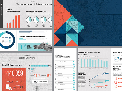 CityStats 2020 baton rouge data visualization editorial design infographic infographics louisiana magazine nonprofit print texture typography