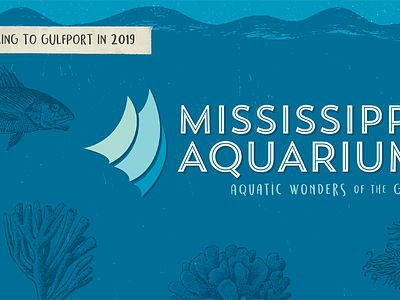 Mississippi Aquarium aquarium aquatic brand branding fish logo sea texture