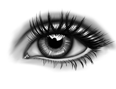 Eye illustration