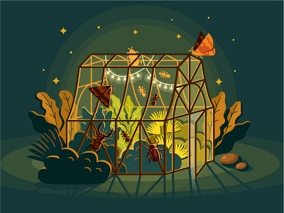 Night greenhouse