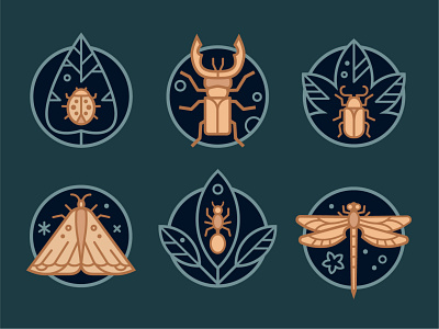 Insect icons icons illustration illustrator insects vector