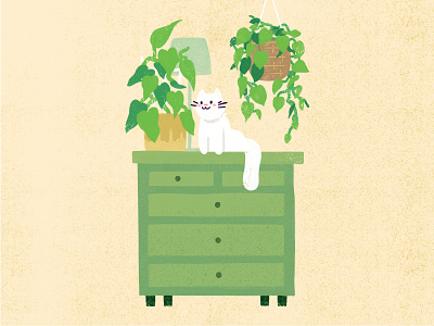 Pot Smasher animations bedroom cat cats dresser furniture garden home indoor plants