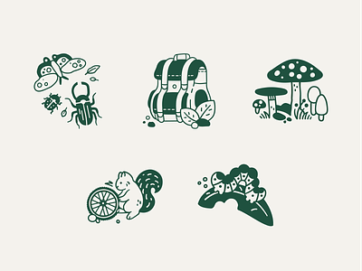 More REI Icons backpack backpacking beetles bikes bugs caterpillar community cycle hiking mushrooms outdoors shop services squirrel vector